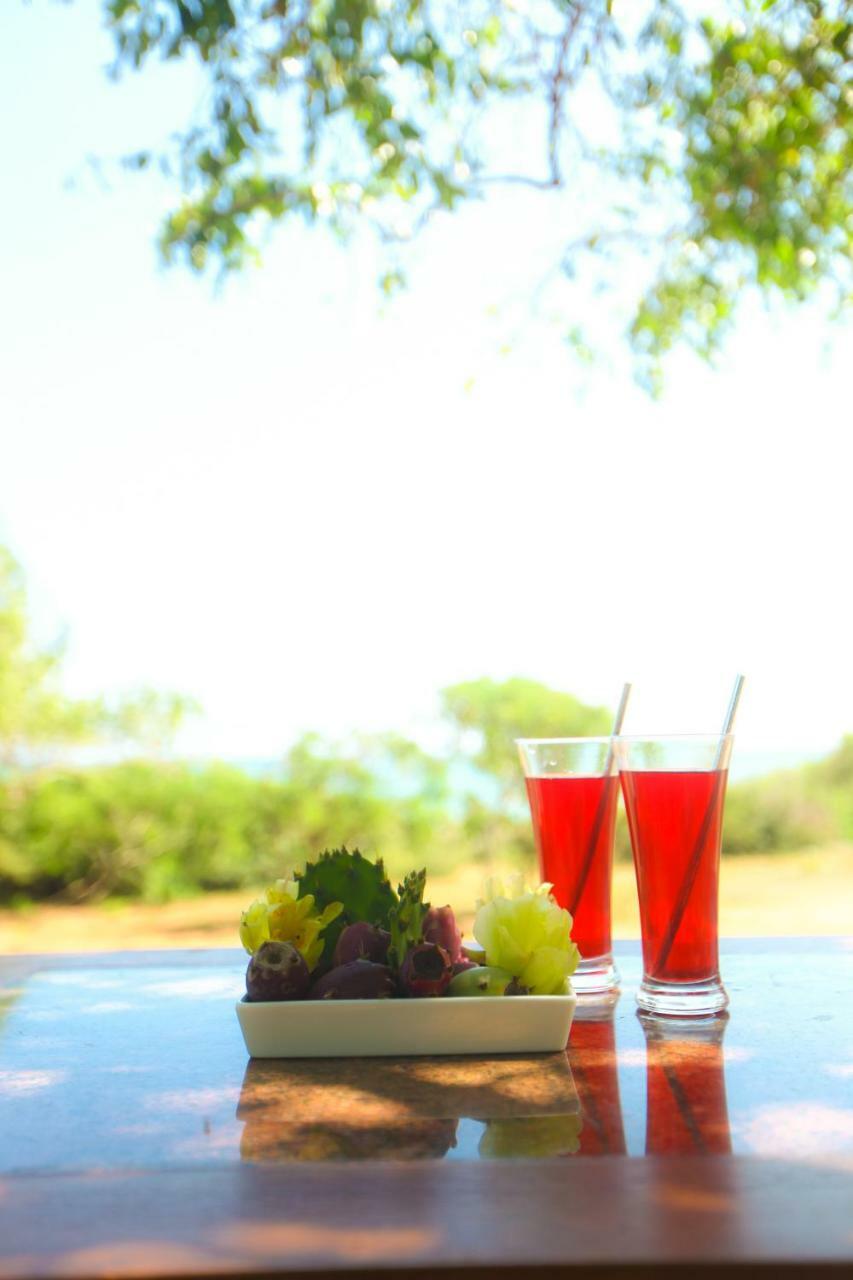 Nil Sisila Beach Resort Yala Eksteriør bilde
